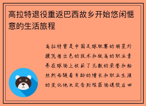 高拉特退役重返巴西故乡开始悠闲惬意的生活旅程